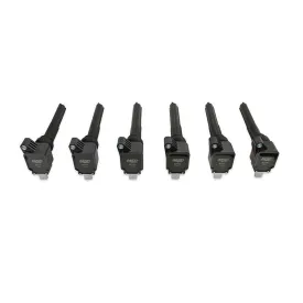 '17-20 Ford 3.5L EcoBoost V6 Coils-QTY 6