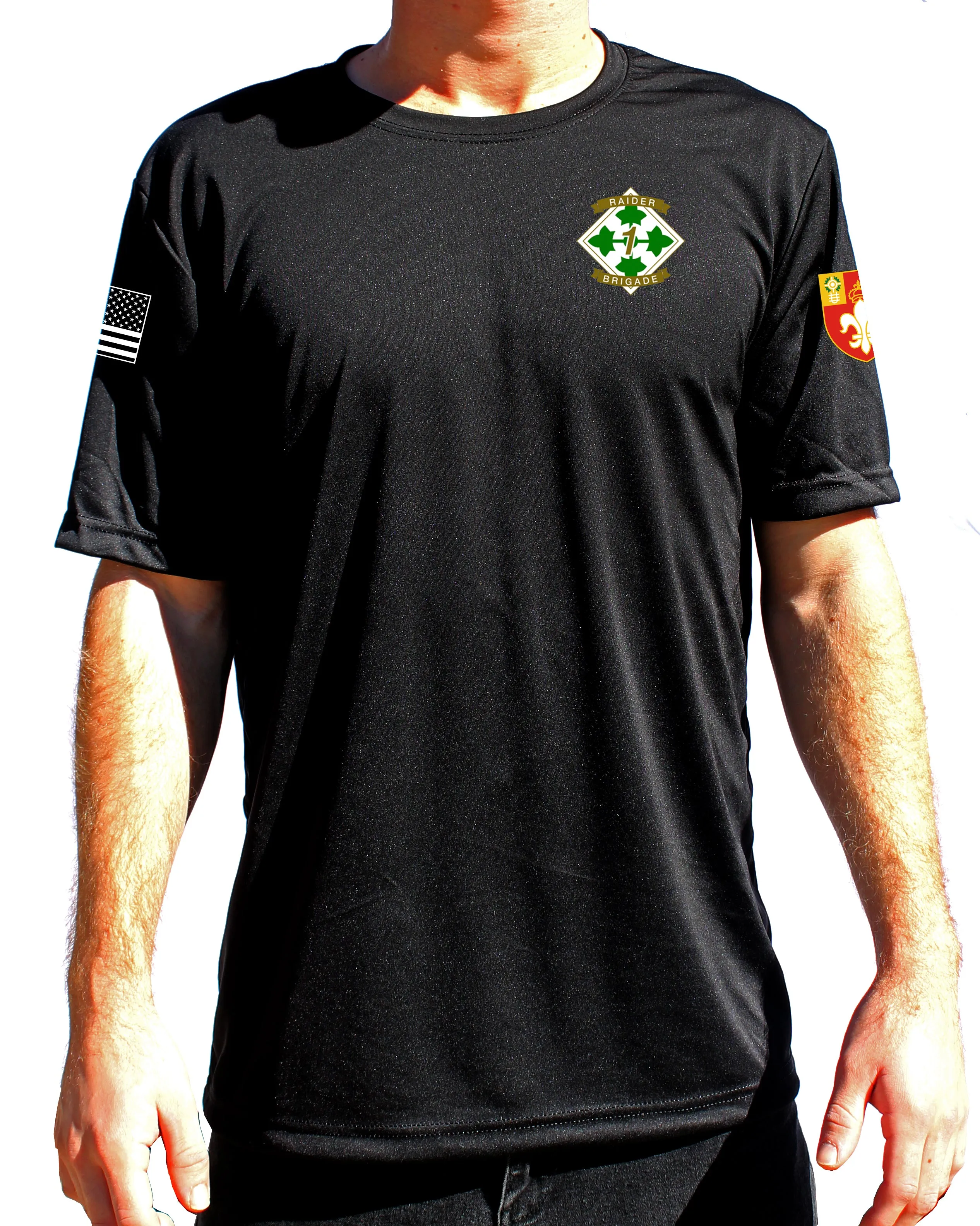 Assault Athletic Performance T-Shirt. This shirt IS approved for PT
