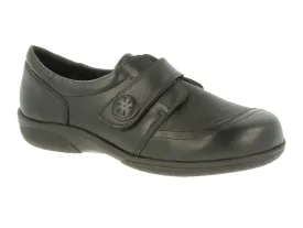 DB Easy B Owl - Black